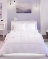 So Fluffy Down Alternative Comforter Collection