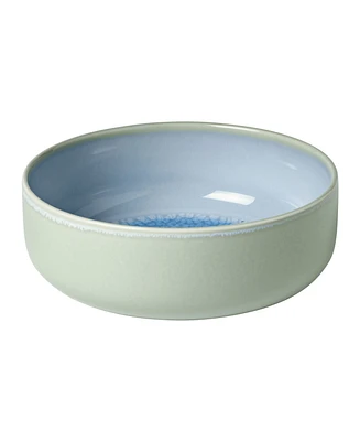 Villeroy & Boch Crafted Rice Bowl