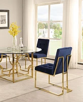 Velvet Dining Chairs, Set of 2