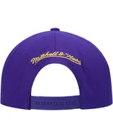 Men's Purple Los Angeles Lakers Hardwood Classics Earthquake Snapback Hat