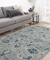 Amer Rugs Romania Hope 5' x 8' Area Rug