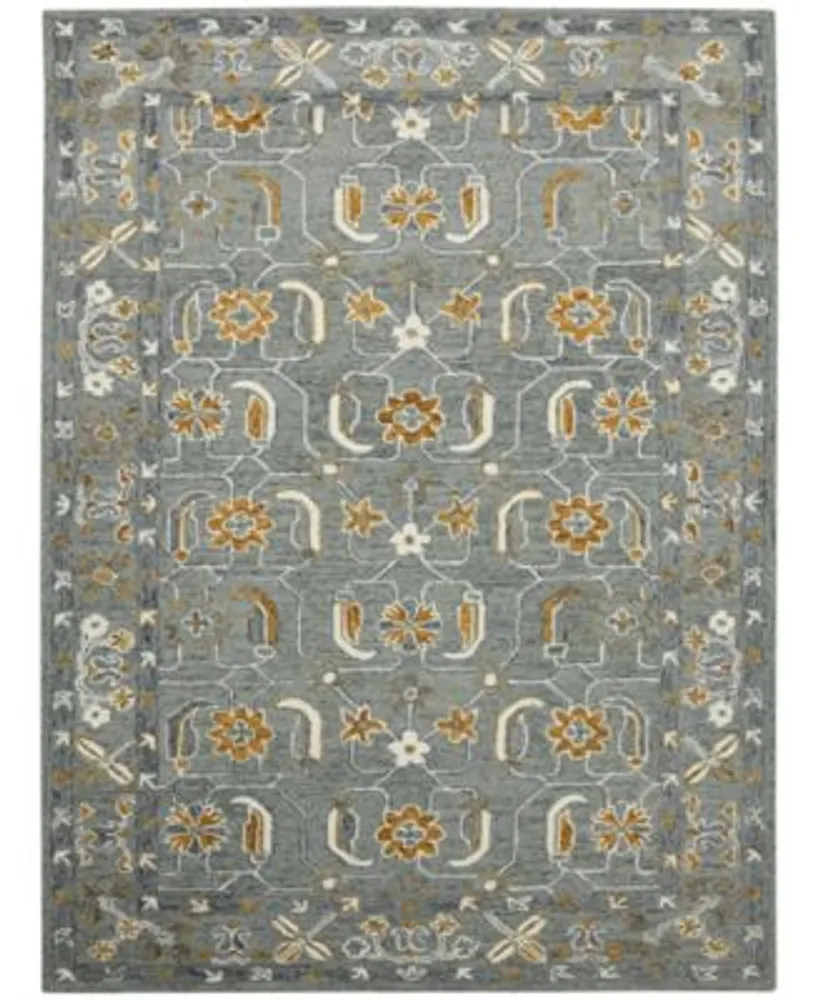 Amer Rugs Romania Pecos Area Rug