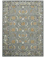 Amer Rugs Romania Pecos Area Rug