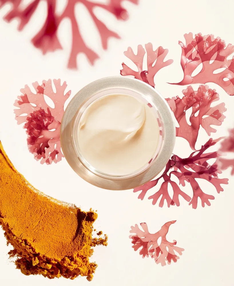 Shiseido Benefiance Wrinkle Smoothing Day Cream Spf 23, 1.7