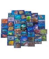 Virtual Reef Diver Tabletop Edition, Educational Memory Card Game, Half Monster Games, 50 Piece