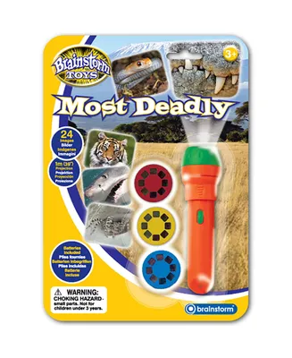 Brainstorm Toys Most Deadly Flashlight and Projector, Set of 28
