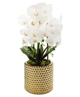 3 Branched Orchid Plant in Hammered Stainless Pot - Gold