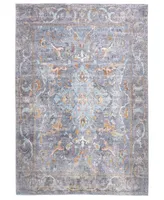 Feizy Percy R39AF 2' x 3' Area Rug