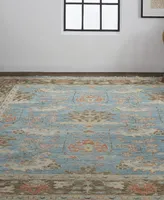 Feizy Beall R6710 7'9" x 9'9" Area Rug