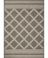 Rainier Ran- 7'10" x 10'10" Outdoor Area Rug