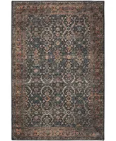 D Style Basilic BAS1 2' x 3' Area Rug