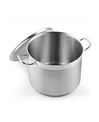 20 Quart Professional Grade Stainless Steel Stock Pot with Lid, Silver