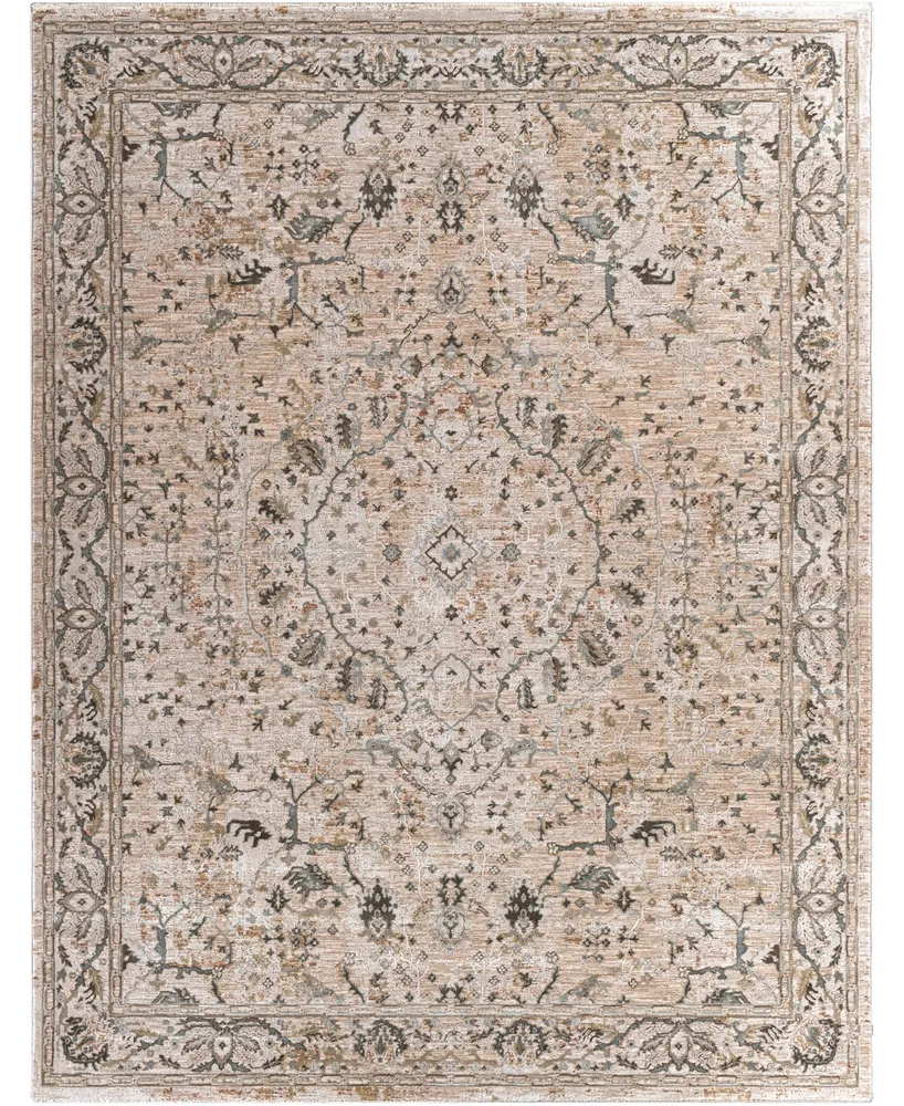 Surya Brunswick BWK2312 7'10" x 10'3" Area Rug