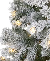 Flocked West Virginia Fir Artificial Christmas Tree with Lights, 96"