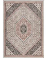 Closeout! Lr Home Sahara SHRC81667 5'2" x 7'2" Area Rug