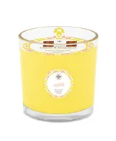 Seeking Balance 2 Wick Uplift Lemon Bergamot Spa Jar Candle, 12 oz