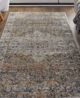 Feizy Frencess R39gm Area Rug