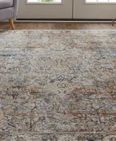 Feizy Kaia R39GM 2' x 3' Area Rug