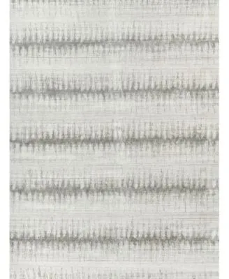 Exquisite Rugs Chroma Er4495 Area Rug