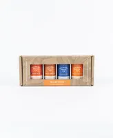 Alchemy Spice Grill & Barbecue Spice Blend Collection Gift Set, 4 Piece