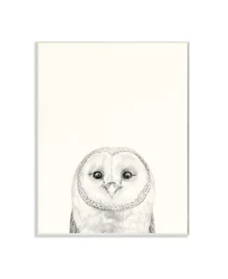 Stupell Industries Owl Portrait Gray Drawing Design Art, 13" x 19" - Multi