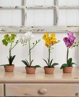 Nearly Natural 4-Pc. Phalaenopsis Orchid Set with Clay Vases