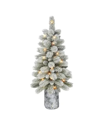 3.5' B/O Potted Flocked Norwegian Pine Tree with 50 Warm White Led Lights, 91 Tips