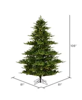 Vickerman Sherwood Fir Artificial Christmas Tree, Warm 3mm Led Lights, 9'