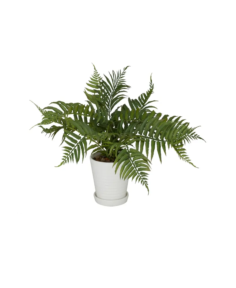 Traditional Fern Artificial Plant, 14.45"