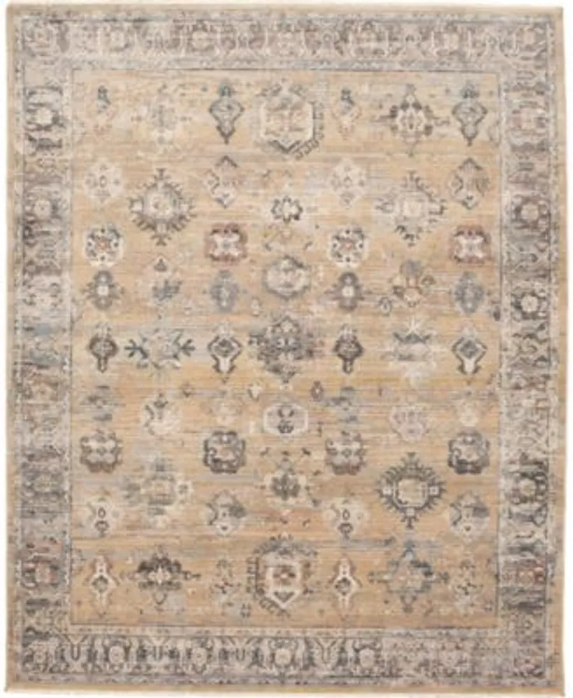 Closeout Karastan Echo Aurelia Area Rug