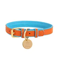 Pet Dog Collar - Vibrant Sunset