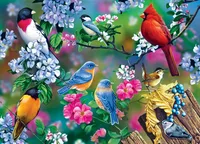 Masterpieces Audubon