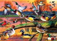 Masterpieces Audubon - Autumn Feathers 1000 Piece Jigsaw Puzzle