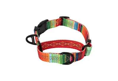 Leashboss Large Martingale Dog Collar