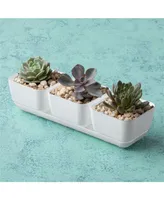 Novelty 10012 Herb & Succulent Trio Planter/Plastic Flower Pot, White, 12"