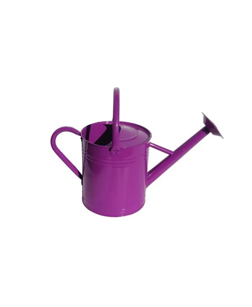Gardener Select Classic Metal Gardening Watering Can, Purple, 1.85 Gal