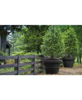 Garden Elements BC2616SC94 Turin Plastic Outdoor Round Planter Black 16 Inches