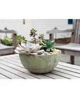 Novelty Napa Bowl Planter Black 12 Inch