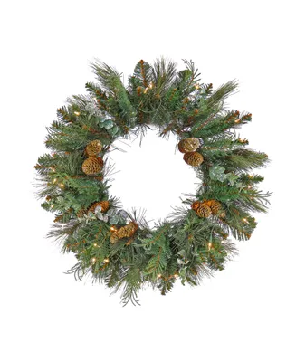 National Tree Company First Traditions Collection 24" Pre-Lit Artificial North Conway Wreath with Glittery Cones and Eucalyptus
