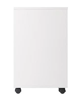 Winsome Halifax 26.3" Wood 2-Drawer Wide Filing Storage Cabinet
