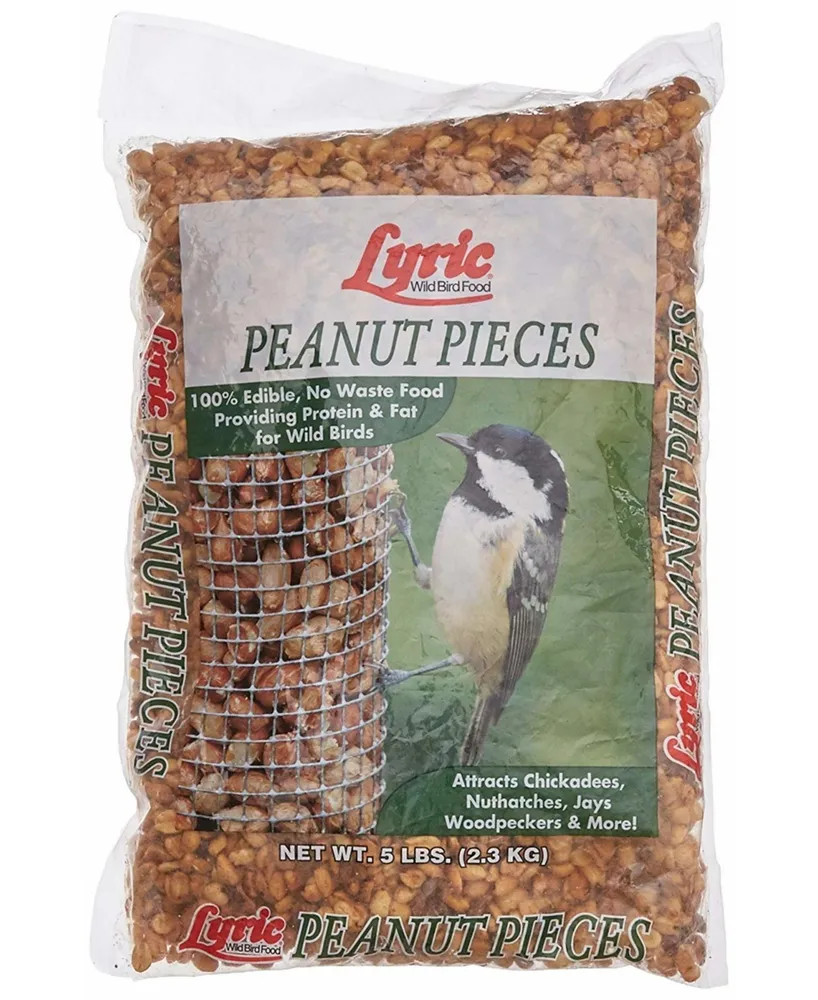 Lyric Wild Bird Food 26-47276 Peanut Pieces 5 Lb
