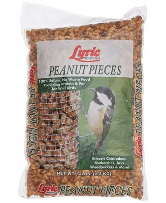 Lyric Wild Bird Food 26-47276 Peanut Pieces 5 Lb