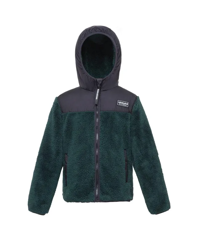 The North Face Little Boys 2T-7T Denali Long-Sleeve Fleece Jacket |  Dillard's