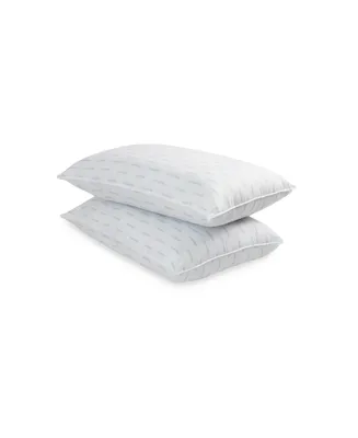 Cannon Silvadur Treated Microfiber 2 Pack Pillow, King