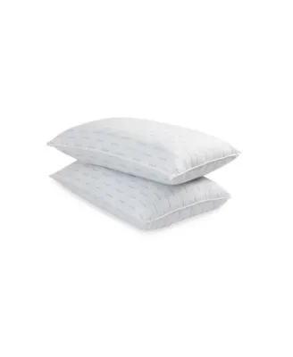 Canon Silvadur Treated Microfiber 2 Pack Pillow Collection