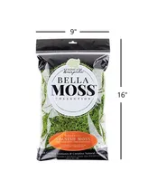 Bella Moss Preserved Spanish Moss, Green