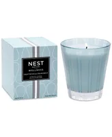 Nest New York Driftwood & Chamomile Classic Candle, 8.1 oz.