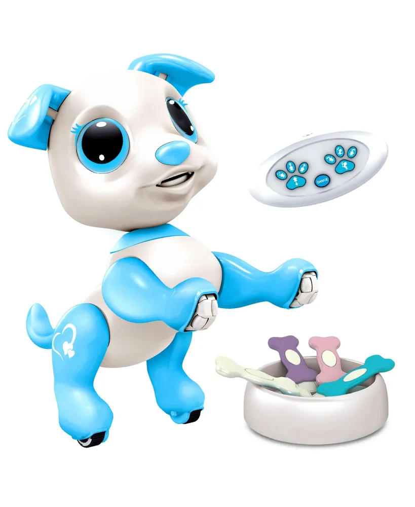 Interactive Robot Treat Toy – Perfect Paw Store