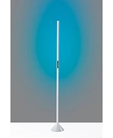 Adesso Cole Floor Lamp