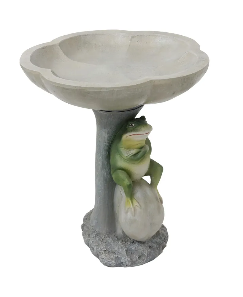 Sunnydaze Decor Polyresin Brooding Frog on Stone Outdoor Garden Bird Bath - 22 in